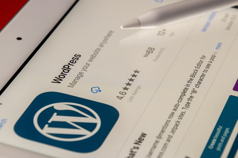 atualizar-os-plugins-do-WordPress
